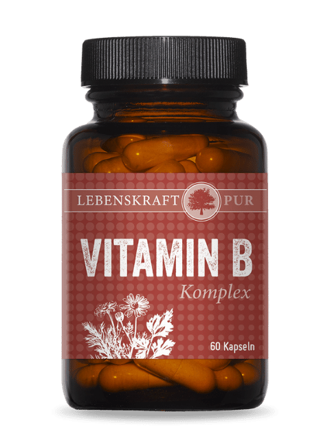 Vitamin B Komplex von Lebenskraft Pur